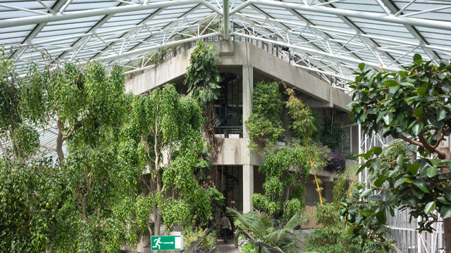 A daytime view of a brutalist style building surrounded by greenery and a glass roof.
