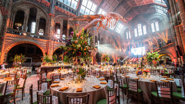 The grand interior of London's Natural History Museum with a whale skeleton hanging from the ceiling and round tables set up for an event. 