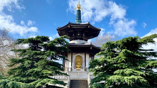 Explore Battersea Park and see its famous pagoda. Credit: Shutterstock. Image courtesy of Shutterstock. The pagoda at Battersea Park with trees on either side and clear blue skies.