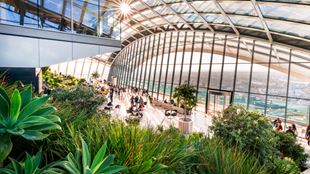 Sky Garden top level, with green plants in the front and a beautiful view over the city.