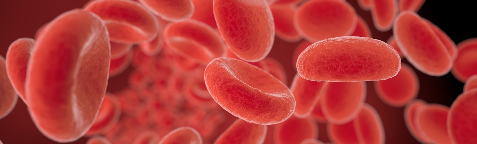 Close-up of red blood cells.