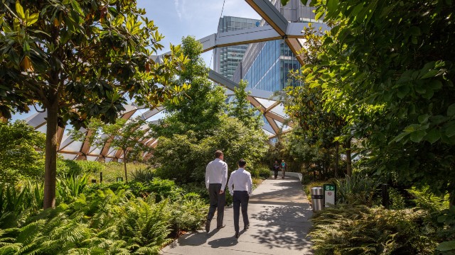 Two people walk along a path lined by green plants at the Crossrail Place Roof Garden in London.