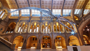 Natural History Museum