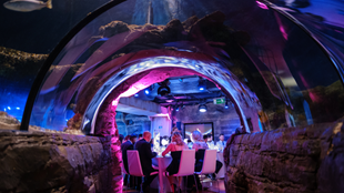 Merlin Venues London