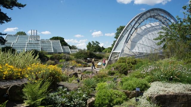 Big green garden area with glass panel houses in the background on a bright day